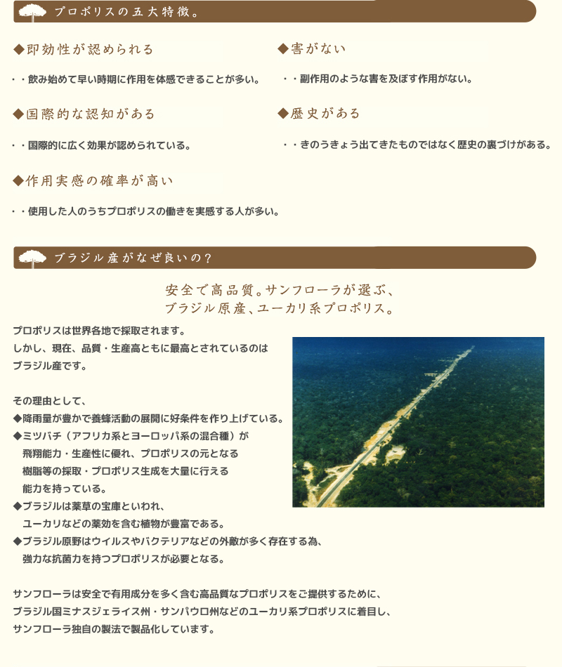 プロポリス原液