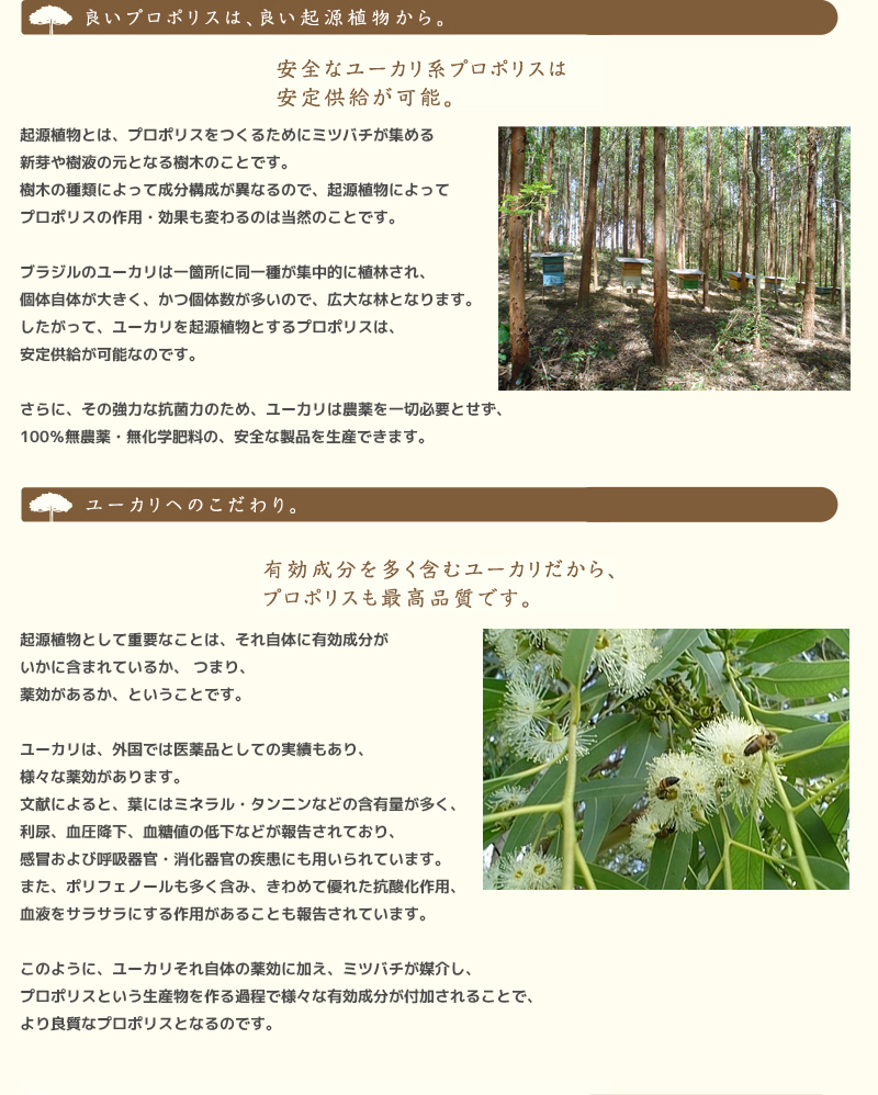 プロポリス原液